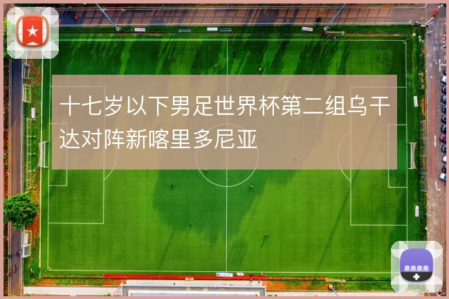 十七岁以下男足世界杯第二组乌干达对阵新喀里多尼亚