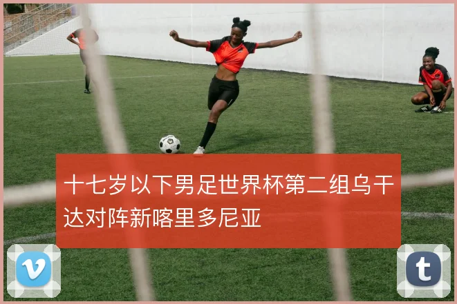 十七岁以下男足世界杯第二组乌干达对阵新喀里多尼亚